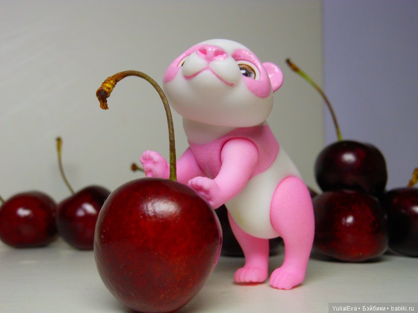 Медведи всех стран, объединяйтесь (фото 6)