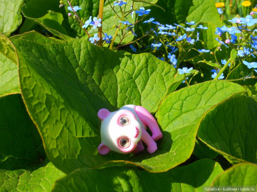 Медведи всех стран, объединяйтесь (фото 3)