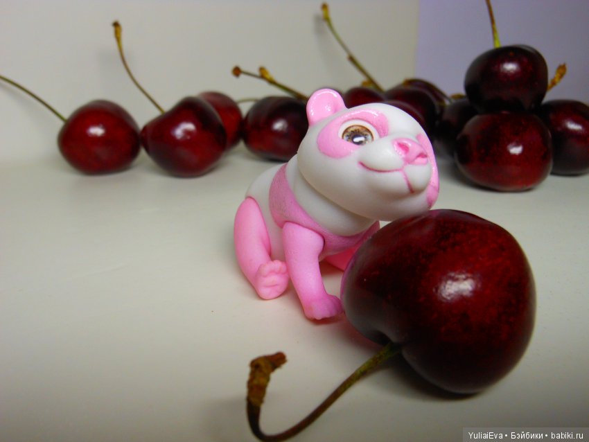 Медведи всех стран, объединяйтесь (фото 5)