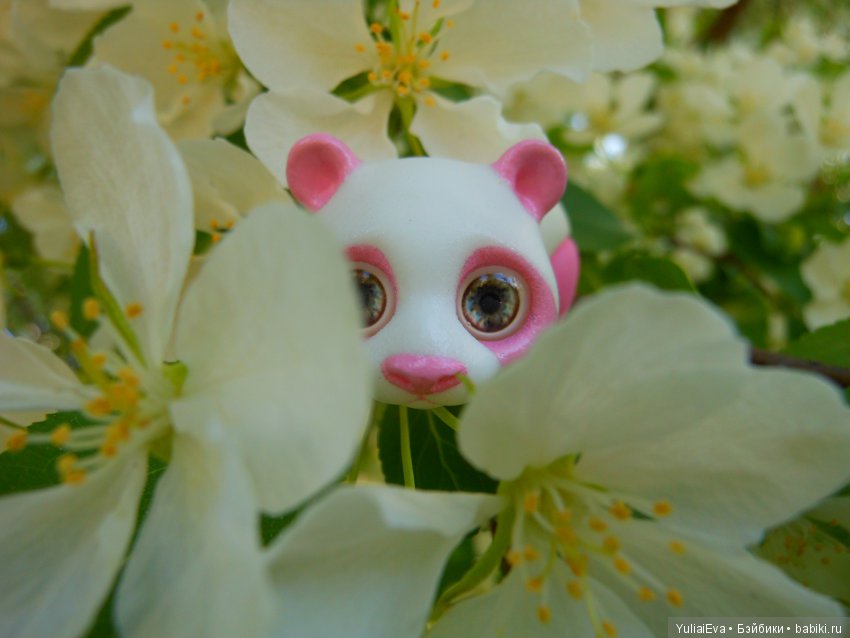 Медведи всех стран, объединяйтесь (фото 2)