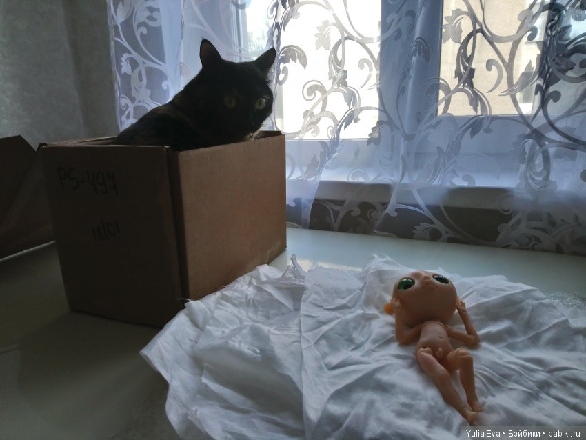 Самый хороший мальчик — Фотоистории с куклами BJD (БЖД): сериалы (фото 6)