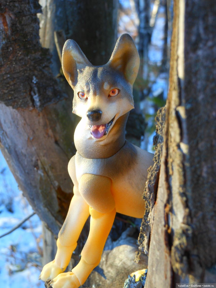 Самый красивый волк — Домашние фото авторских кукол: личные коллекции (фото 4)