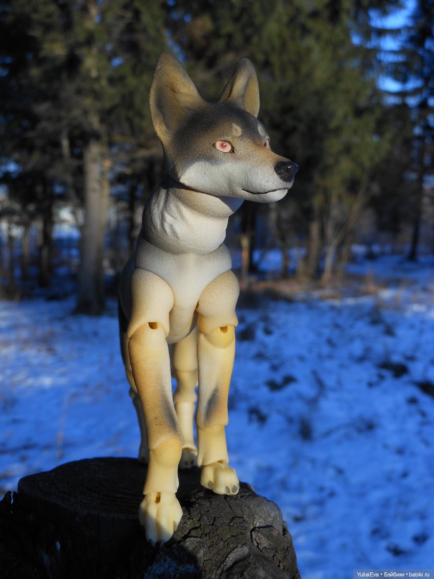 Самый красивый волк — Домашние фото авторских кукол: личные коллекции