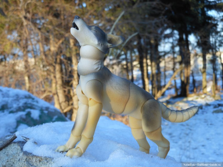 Самый красивый волк — Домашние фото авторских кукол: личные коллекции (фото 2)