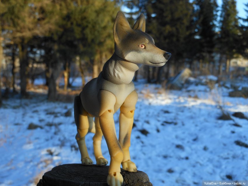 Самый красивый волк — Домашние фото авторских кукол: личные коллекции (фото 3)