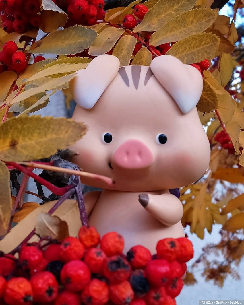 Пряничек Popo — Куклы Simontoys и Come4Free (Blind Box): Teennar (фото 3)