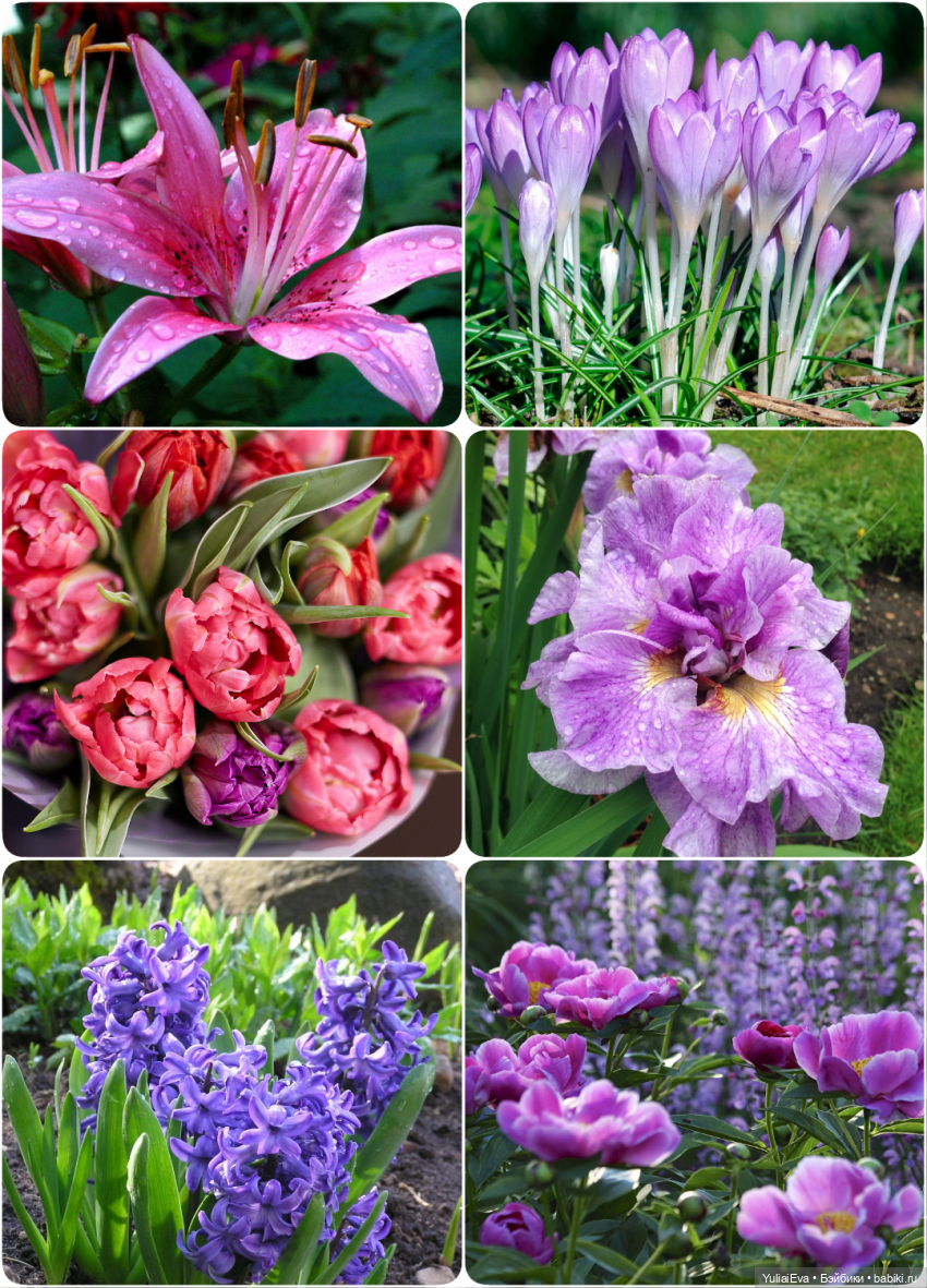 Весна среди зимы — Куклы Nines d'Onil (Нинес): Миа (Mia) (фото 3)