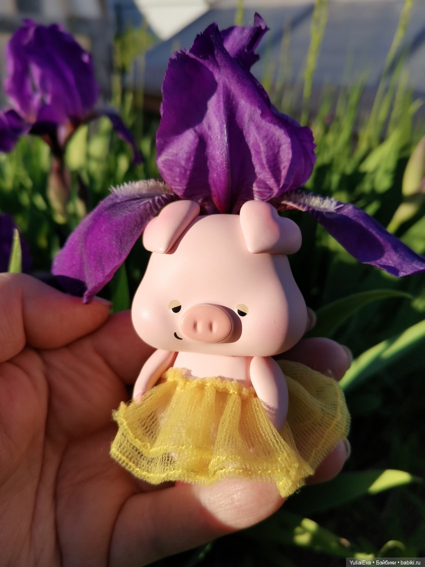 Сонная свинка — Разные шарнирные куклы (не БЖД): редкие (фото 3)