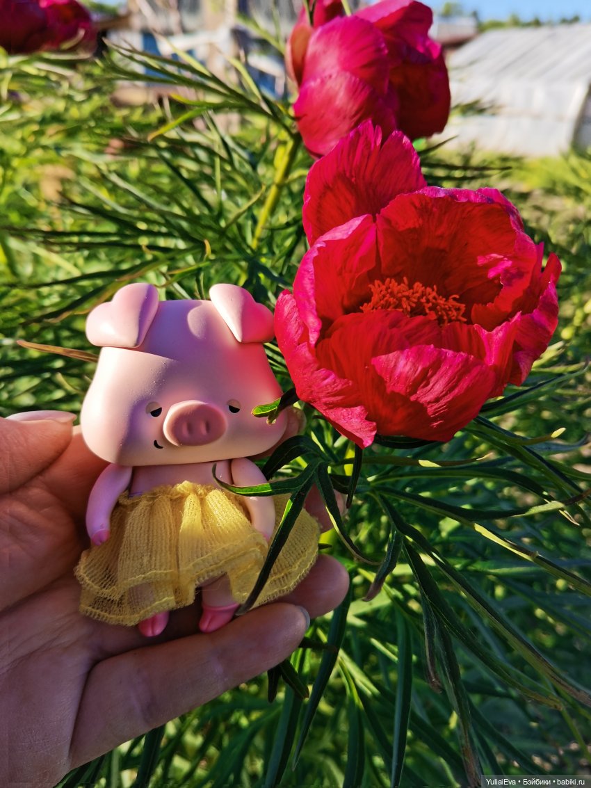 Сонная свинка — Разные шарнирные куклы (не БЖД): редкие (фото 2)