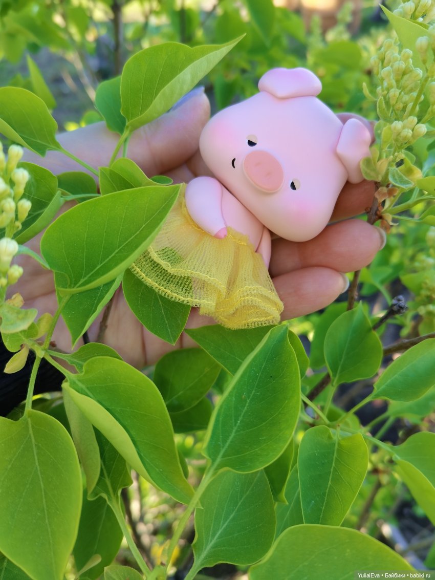 Сонная свинка — Разные шарнирные куклы (не БЖД): редкие