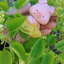 Сонная свинка