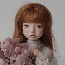 Шарнирная кукла БЖД