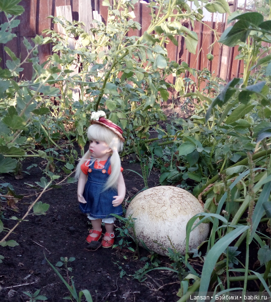 Во саду ли в огороде. Или что у нас выросло) (фото 3)