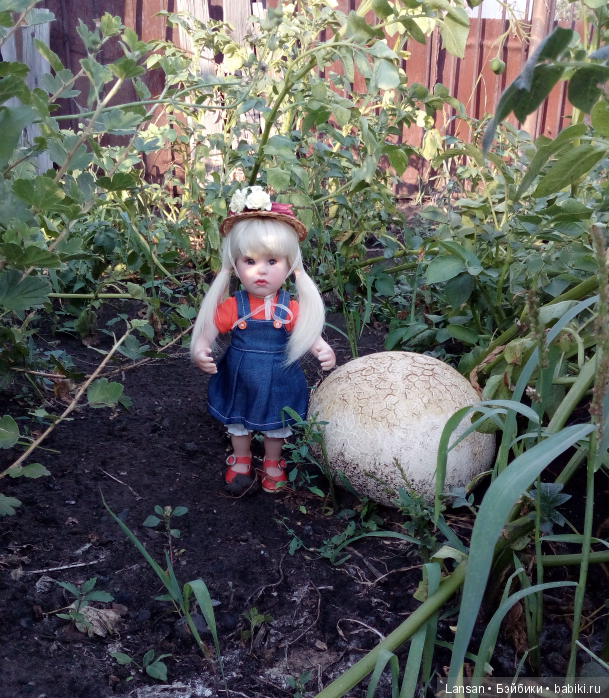 Во саду ли в огороде. Или что у нас выросло) (фото 2)