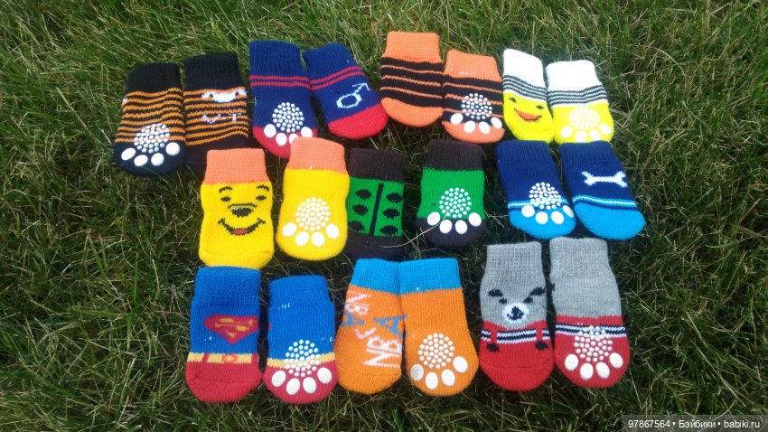 Кот Басик или мы исправились (фото 4)