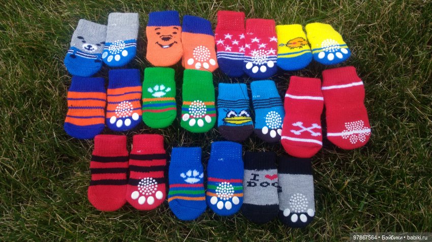 Кот Басик или мы исправились (фото 5)