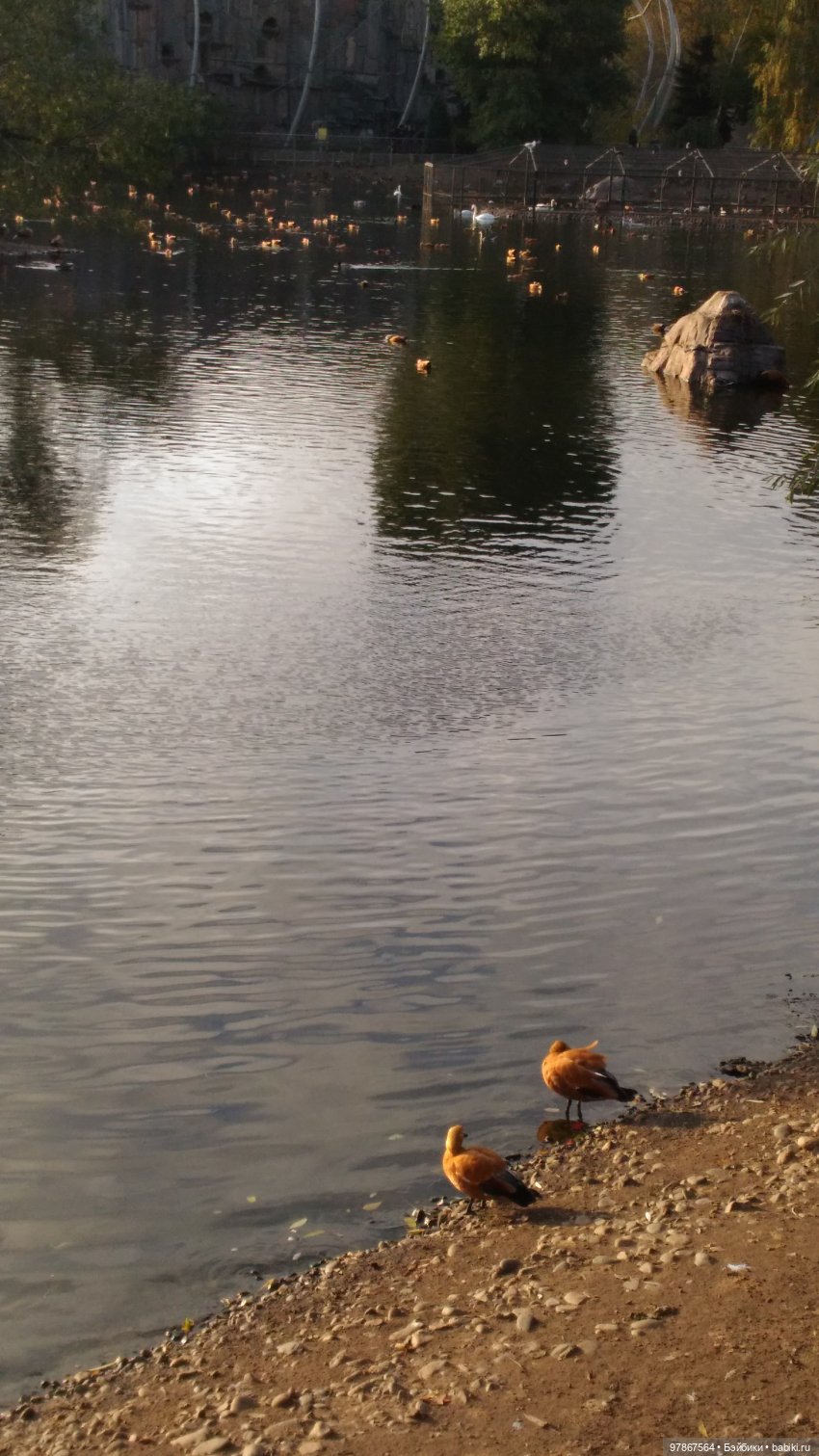 Evil Zwergnase, или выбор сделан (фото 7)