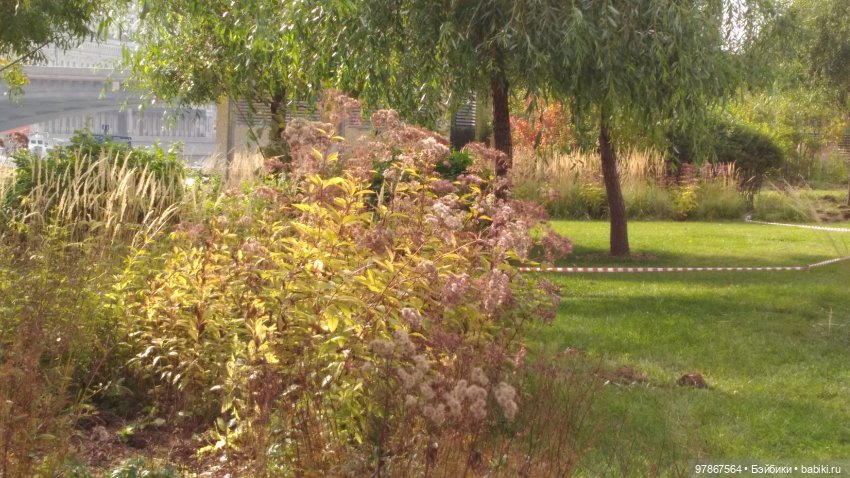 Осенняя обновка Малу Zwergnase