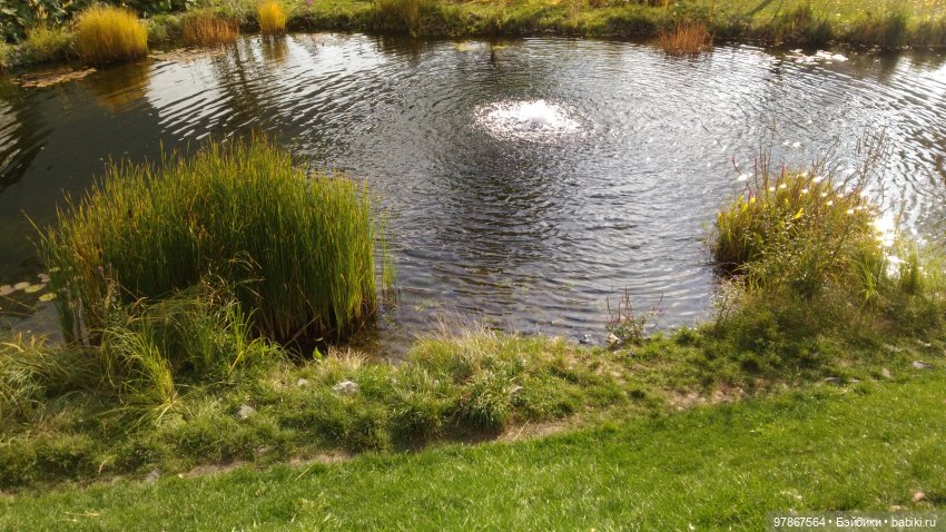 Осенняя обновка Малу Zwergnase