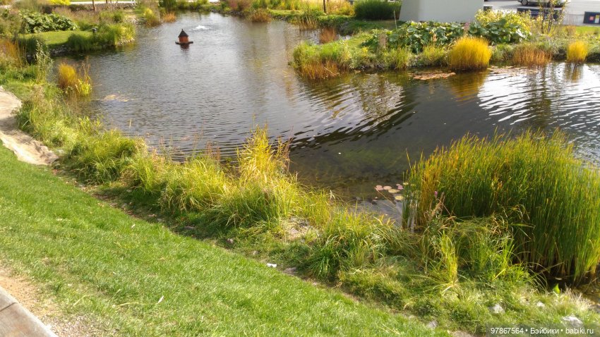 Осенняя обновка Малу Zwergnase