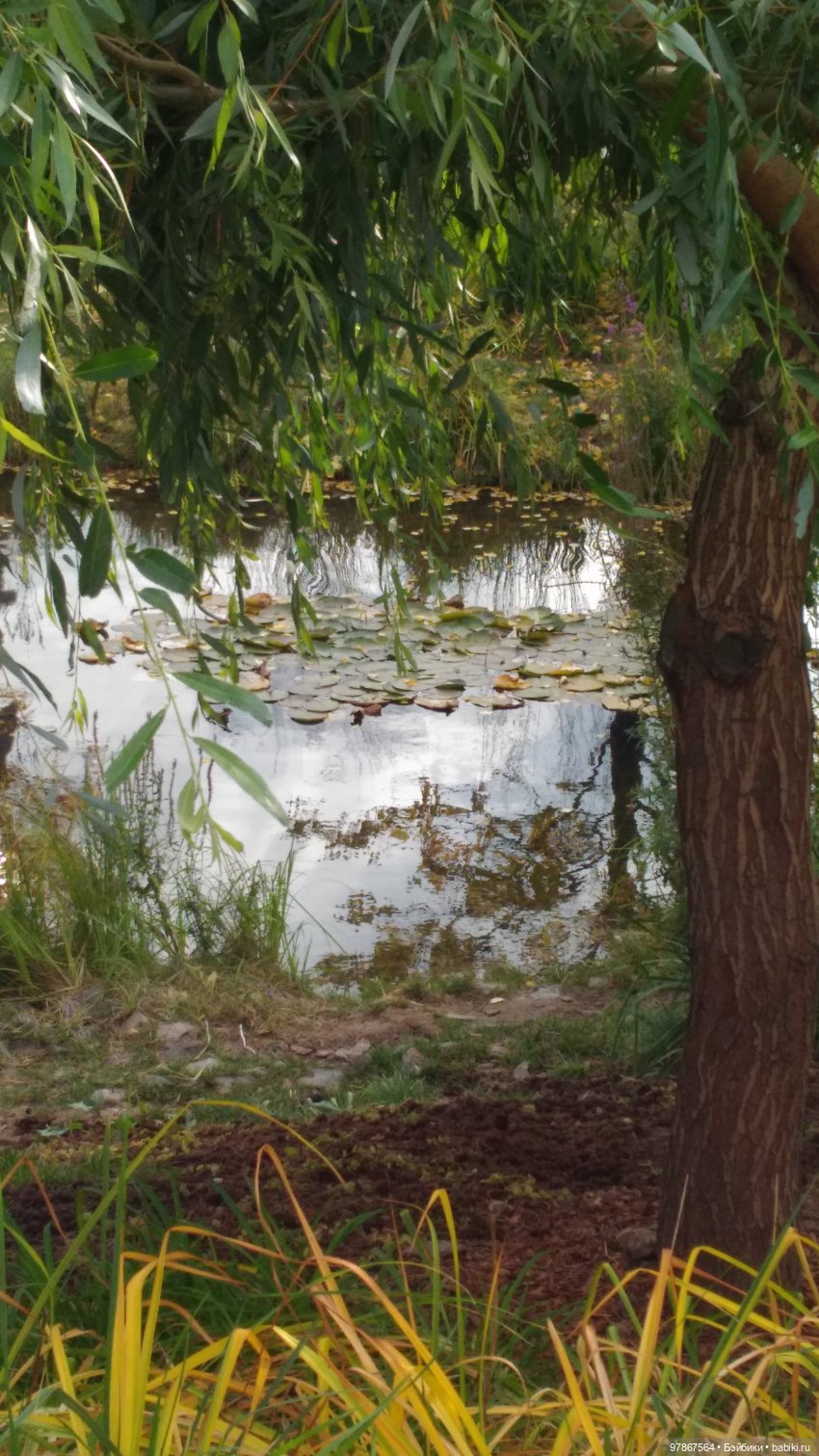 Осенняя обновка Малу Zwergnase