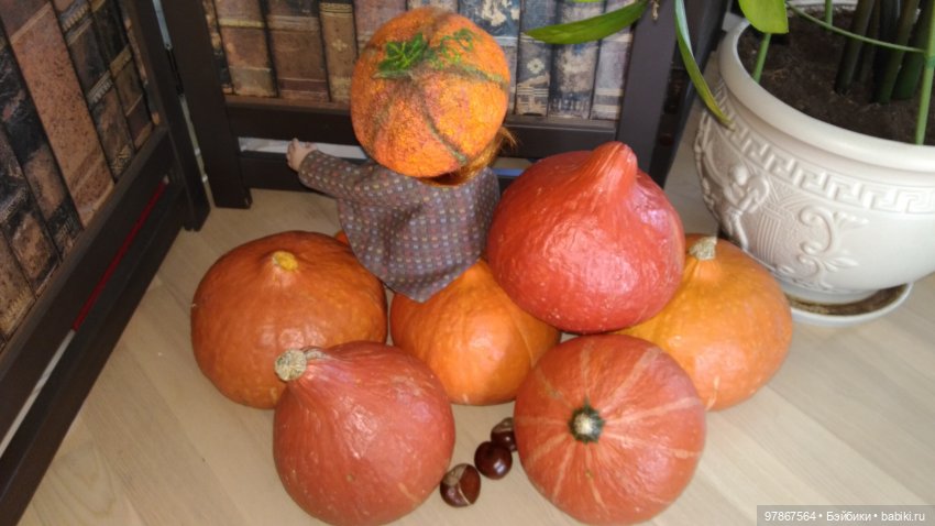 Как Анфиска тыкву увидела (фото 9)