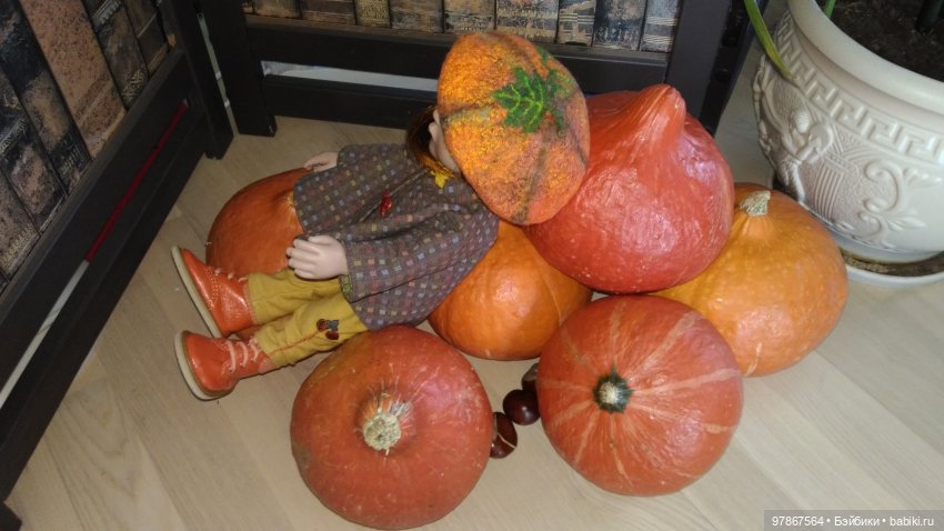 Как Анфиска тыкву увидела (фото 10)