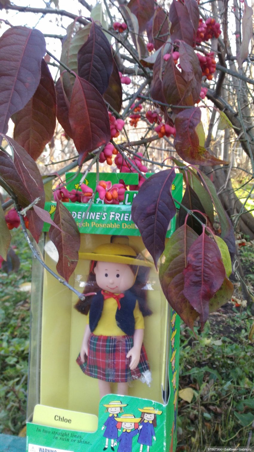 Коллекция Madeline Eden. Часть 3. Хлоя (фото 2)