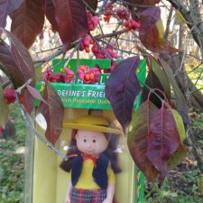 Коллекция Madeline Eden. Часть 3. Хлоя