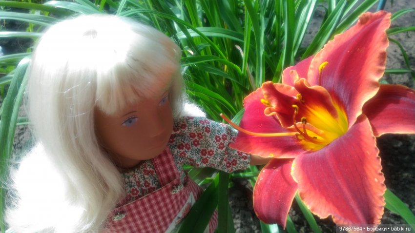 Наряд для Sasha doll. Кролик Питер