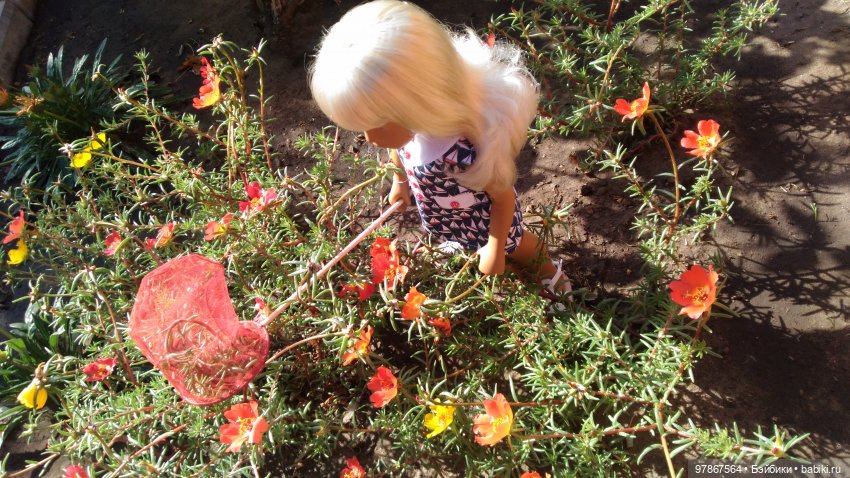 Sasha doll. Сачок — Куклы Sasha Morgenthaler (Саша Моргенталер): Trendon (фото 2)