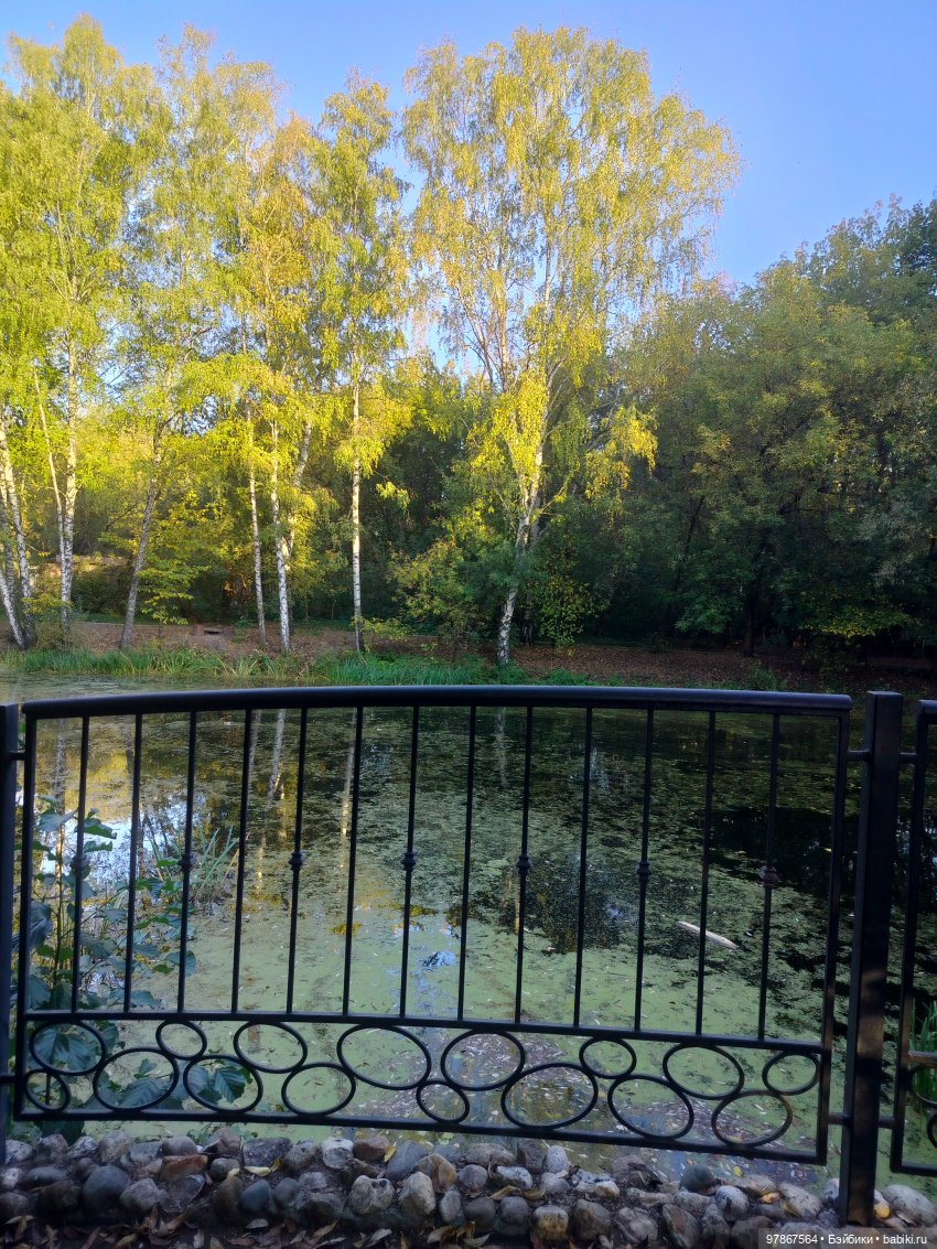 Наряд за одну ночь — Куклы Zwergnase (Цвергназе/Цверги): фото