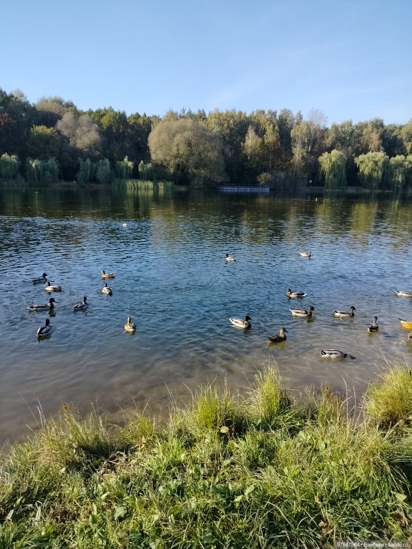 Наряд за одну ночь — Куклы Zwergnase (Цвергназе/Цверги): фото (фото 4)