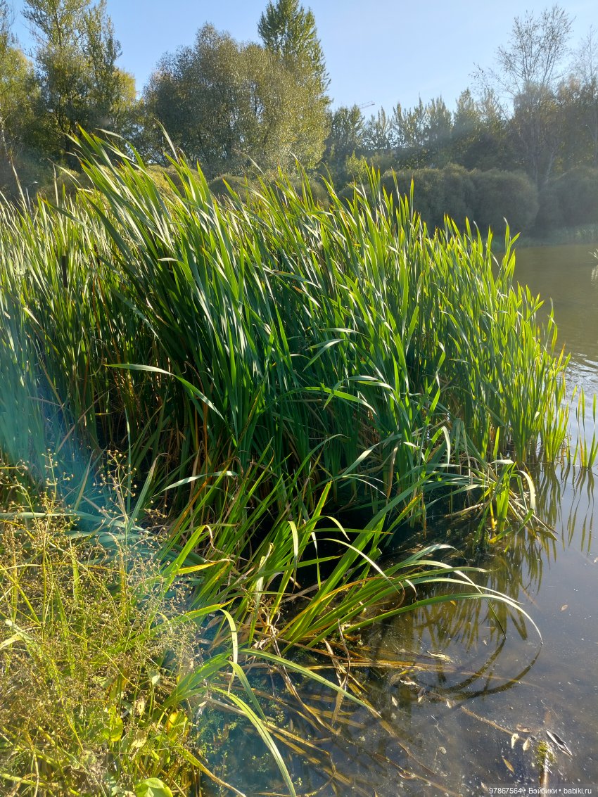 Наряд за одну ночь — Куклы Zwergnase (Цвергназе/Цверги): фото (фото 2)