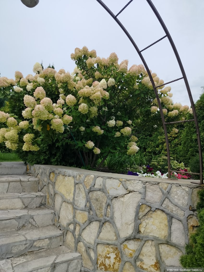 Ох уж, эти пуговки — Куклы Zwergnase (Цвергназе/Цверги): фото (фото 7)