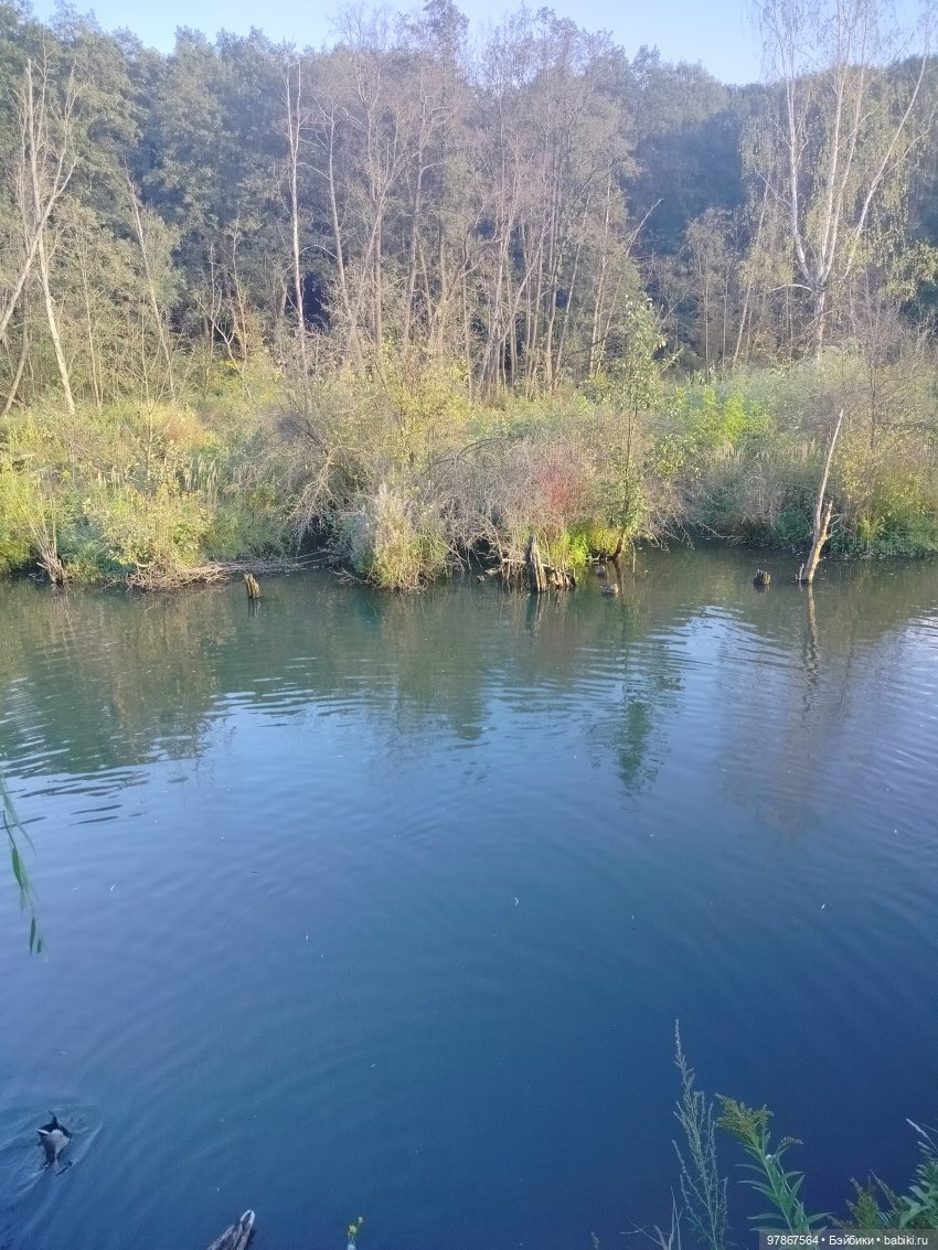 Как у Малу появился брат — Куклы Zwergnase (Цвергназе/Цверги): фото