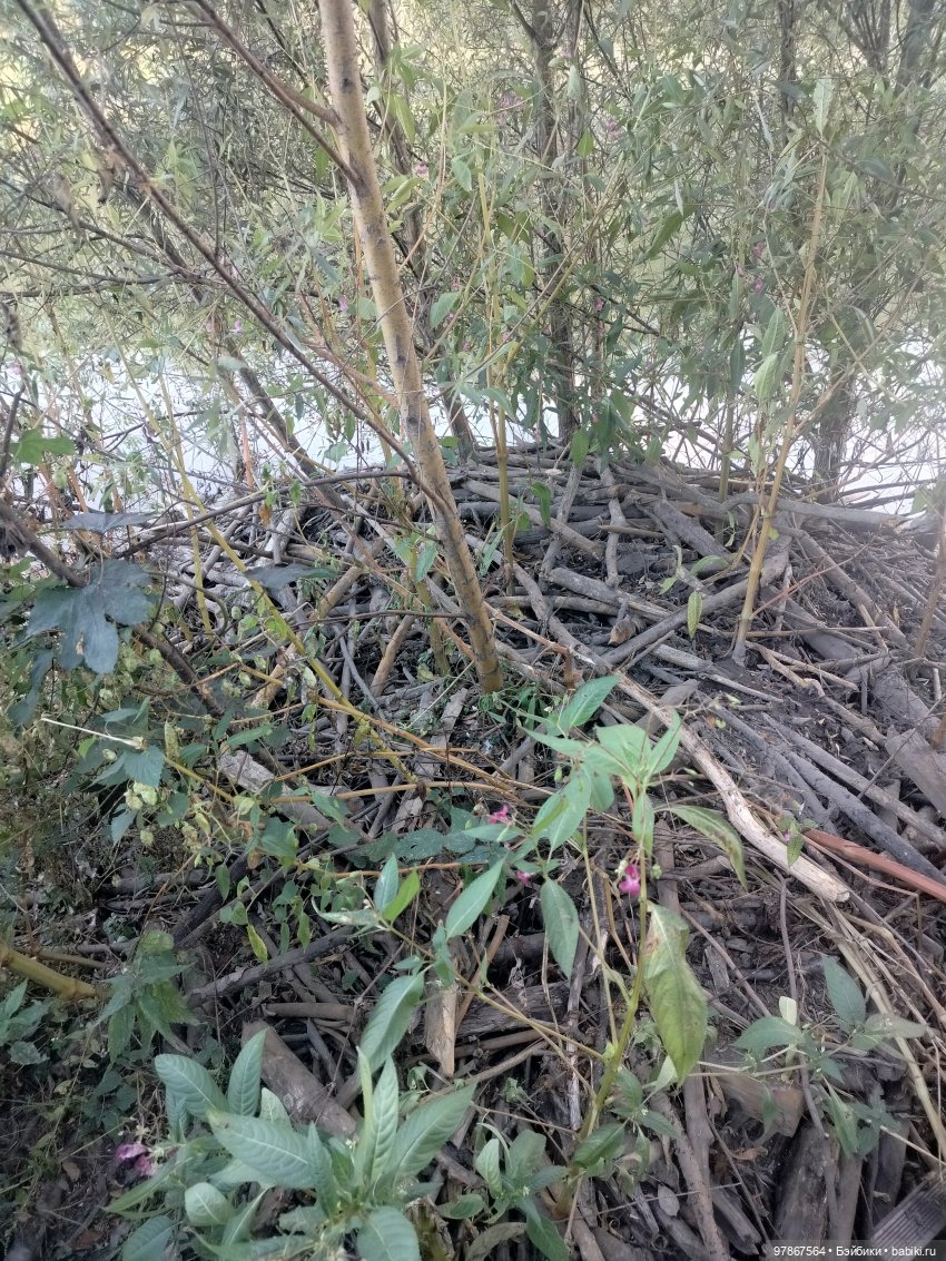 Как у Малу появился брат — Куклы Zwergnase (Цвергназе/Цверги): фото