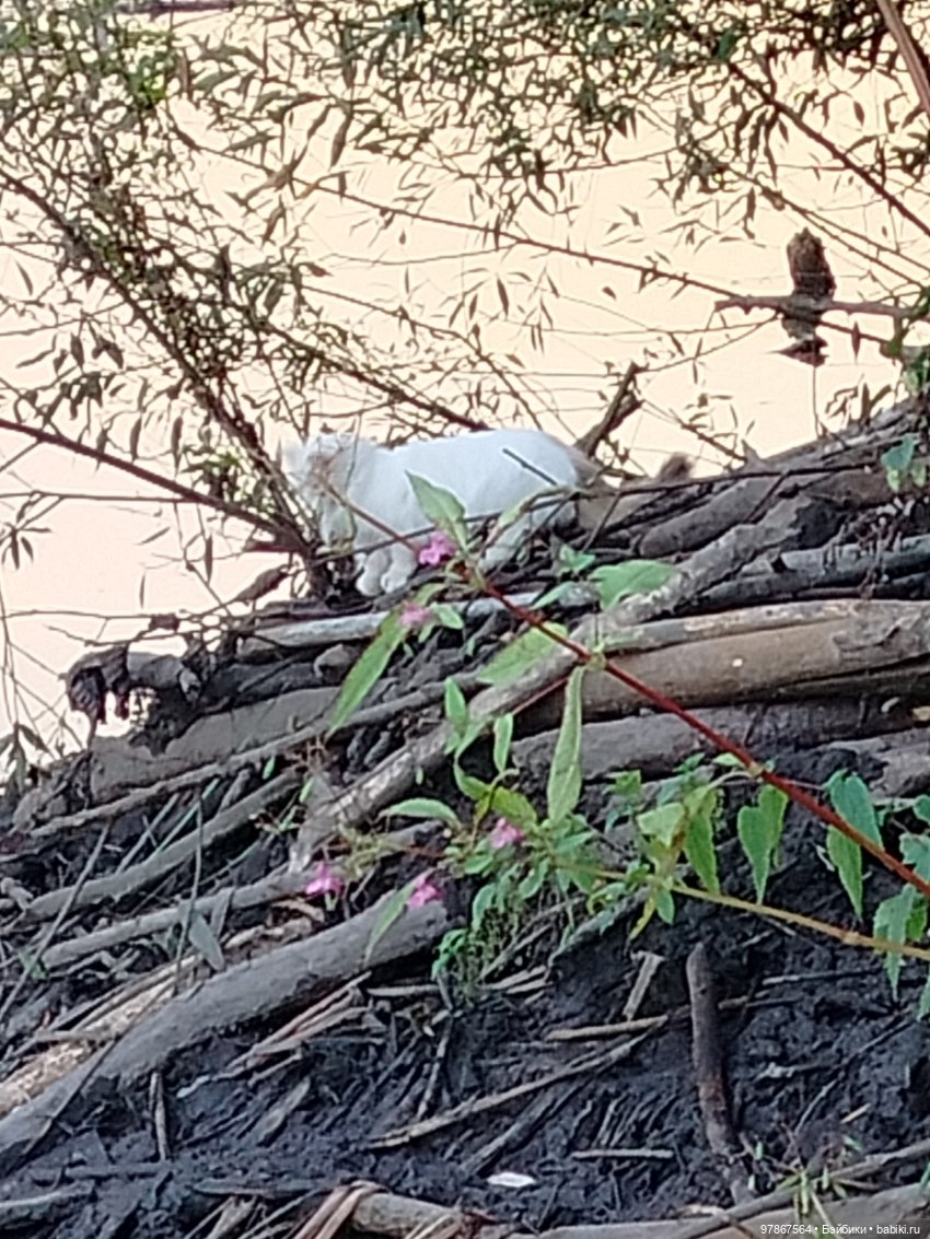 Как у Малу появился брат — Куклы Zwergnase (Цвергназе/Цверги): фото