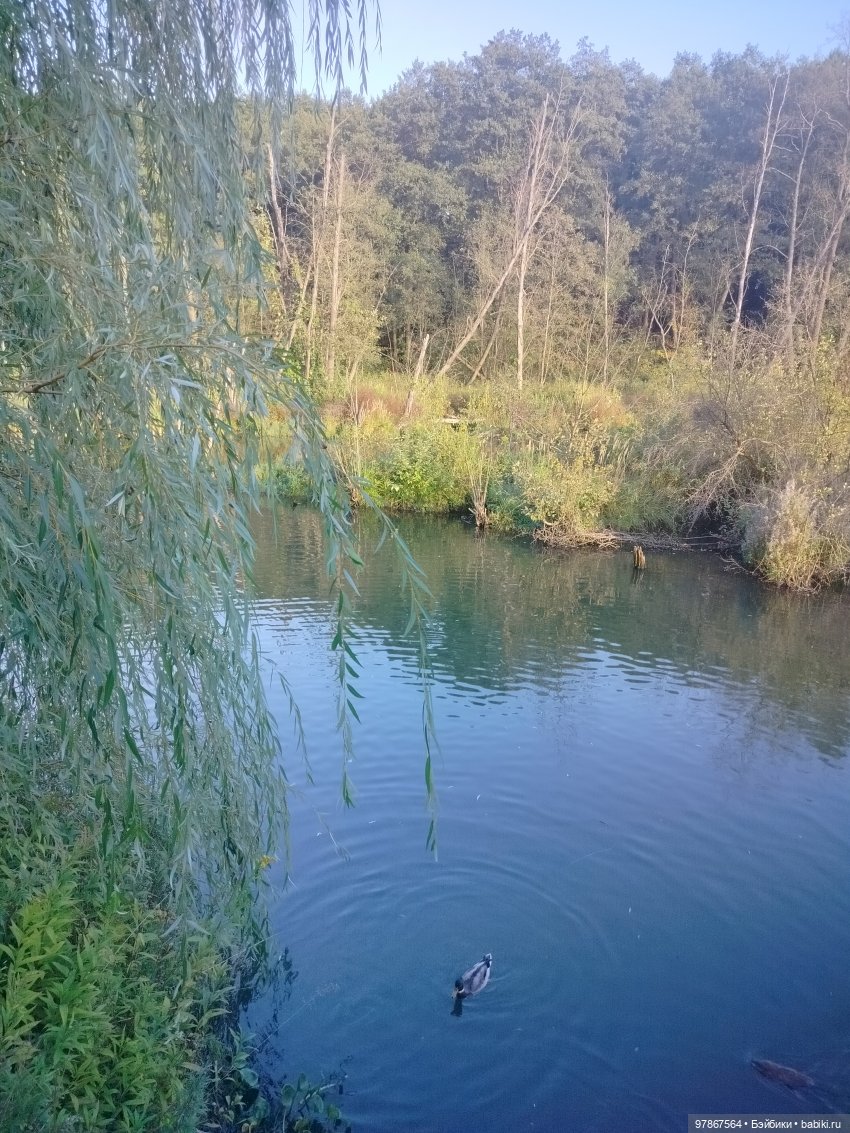 Как у Малу появился брат — Куклы Zwergnase (Цвергназе/Цверги): фото