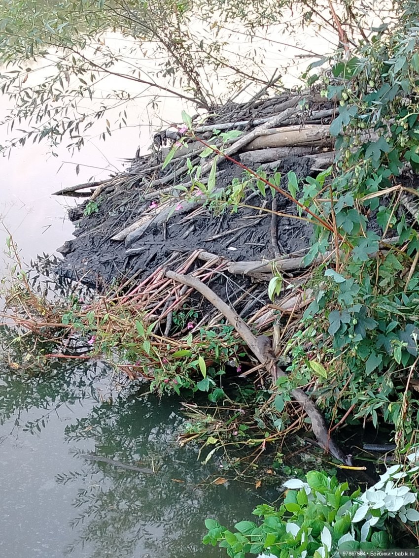 Как у Малу появился брат — Куклы Zwergnase (Цвергназе/Цверги): фото