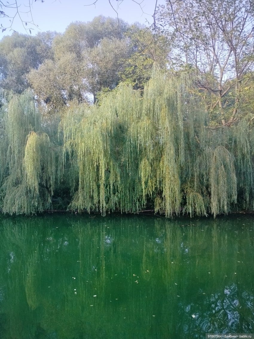 Как у Малу появился брат — Куклы Zwergnase (Цвергназе/Цверги): фото