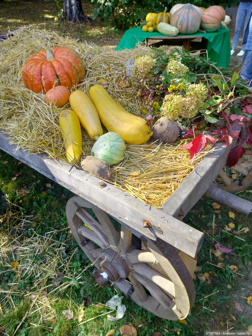 День тыквы — Куклы Zwergnase (Цвергназе/Цверги): фото (фото 7)