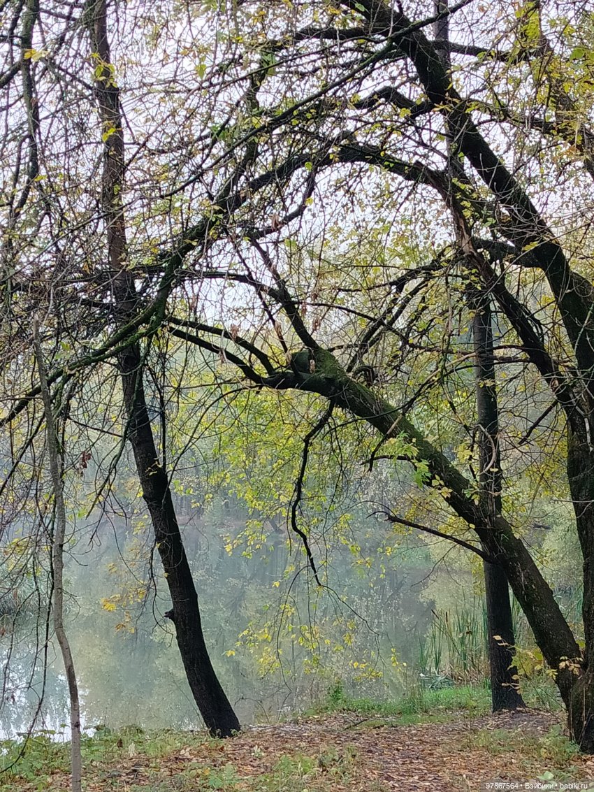 Осенний наряд, перезагрузка