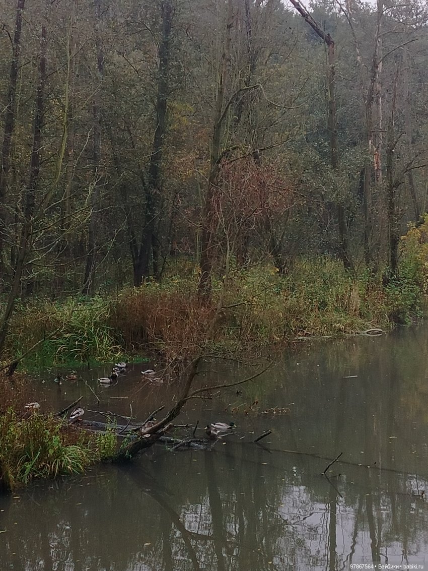 Осенний наряд, перезагрузка