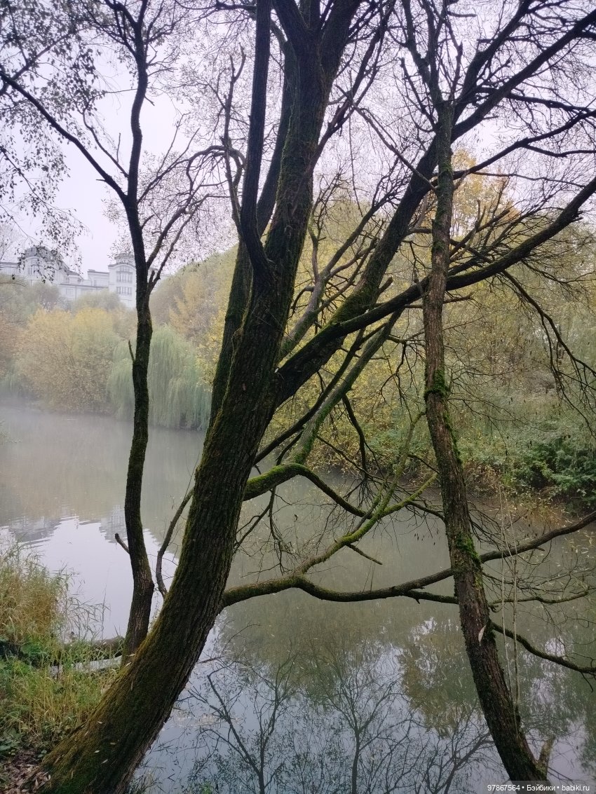 Осенний наряд, перезагрузка