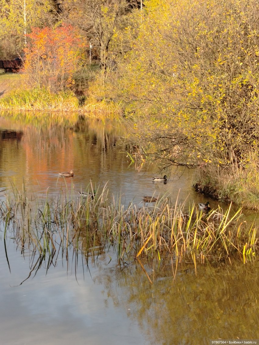 Долгожданная Zwergnase или наряд из того, что было
