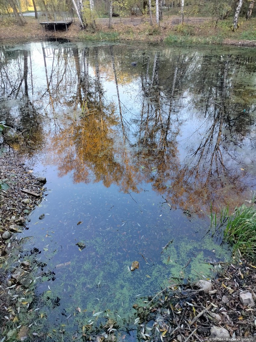 Долгожданная Zwergnase или наряд из того, что было