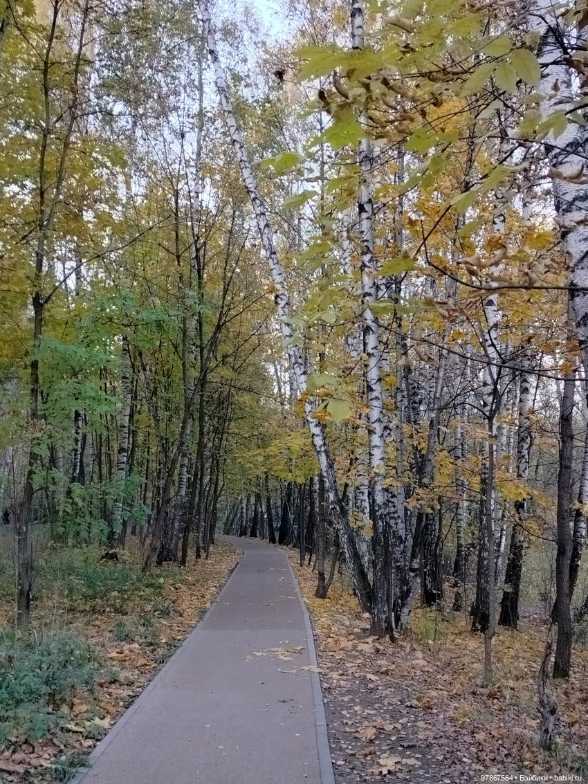 Долгожданная Zwergnase или наряд из того, что было