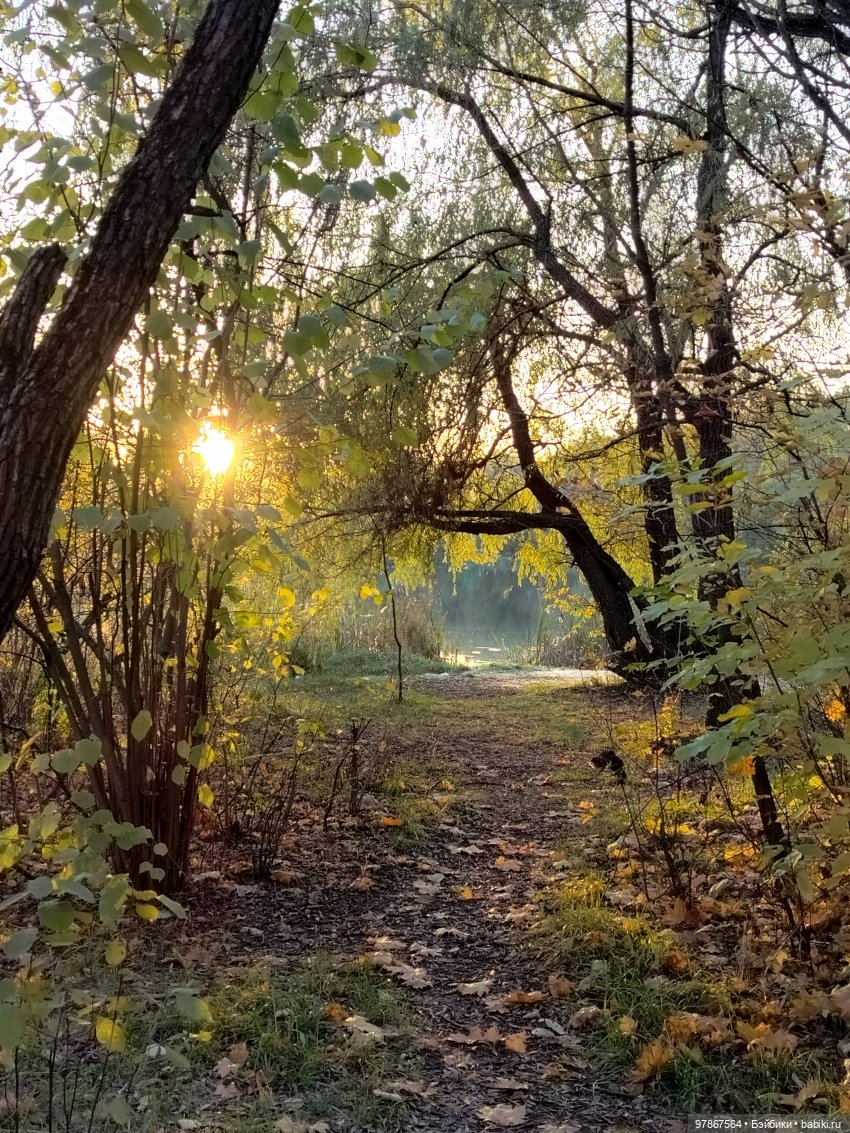 Долгожданная Zwergnase или наряд из того, что было