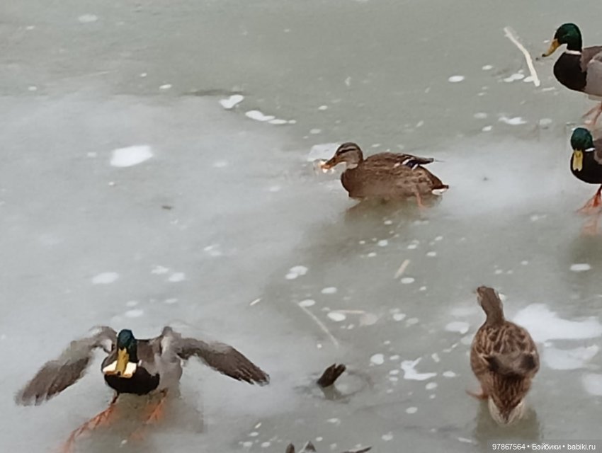 СнЯгурочку вызывали? Продолжение